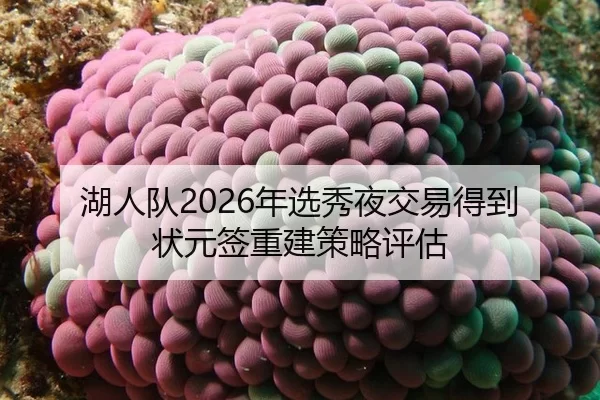 湖人队2026年选秀夜交易得到状元签重建策略评估